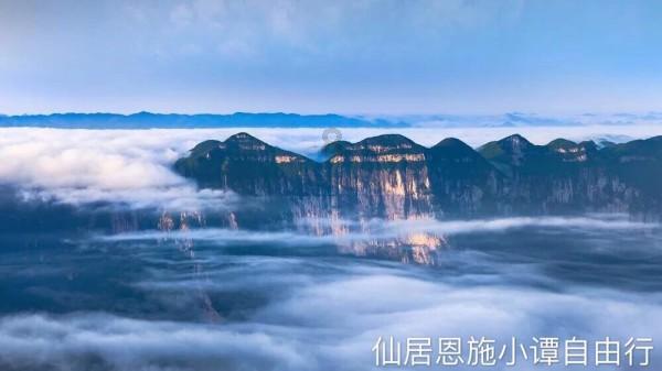 细胞分裂6
