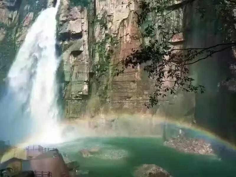 燃烧吧大脑装瓶子游戏