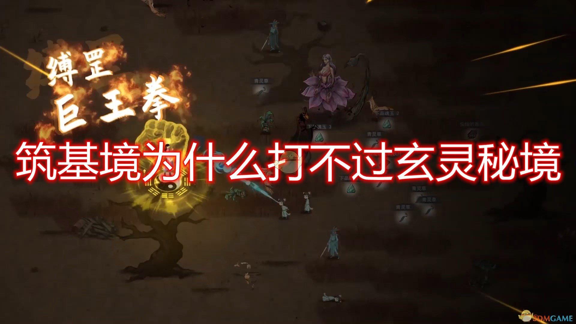 龙蛋花盆适合种什么植物？游戏画面