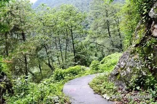 有人说兵马俑是“活人”烧制?陕西一兵马俑裂开后,真相浮出水面