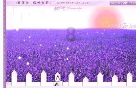 杨花:我的愿望不仅仅是破PB