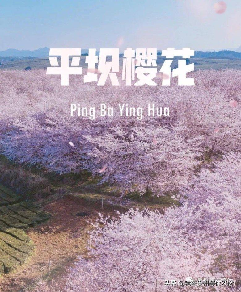 超数码宝贝3.0