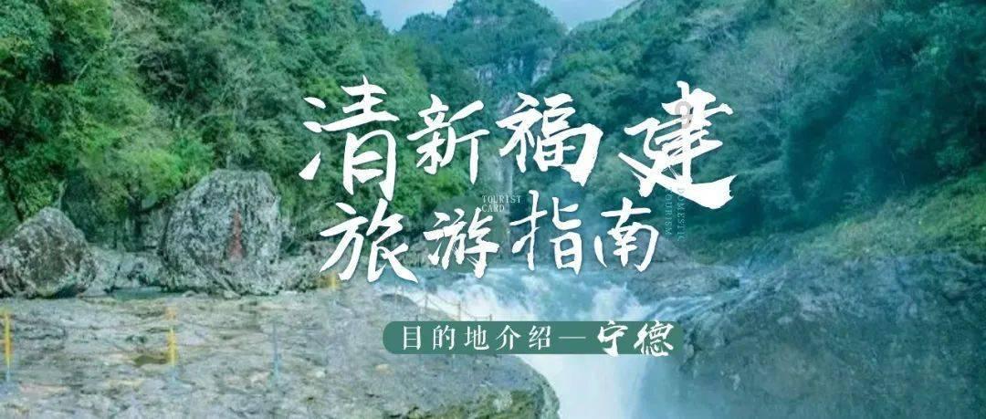 卡通考拉救援