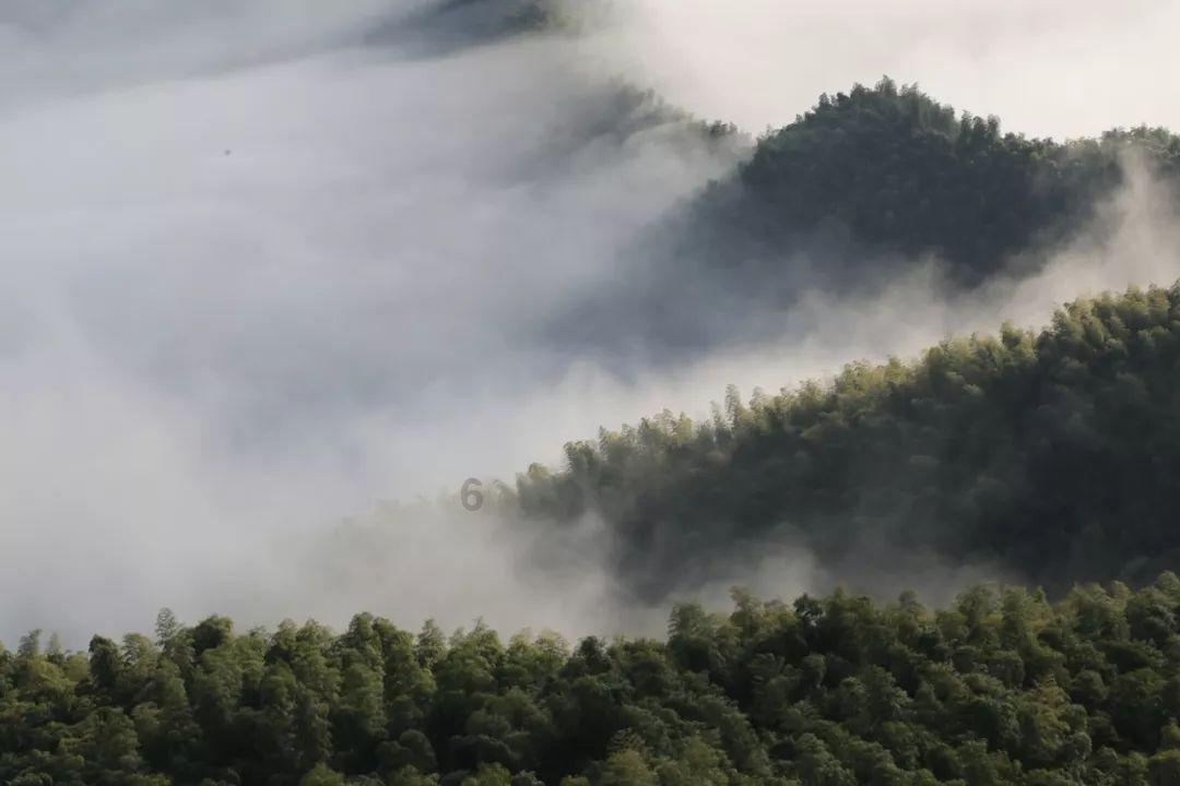 美丽小空姐