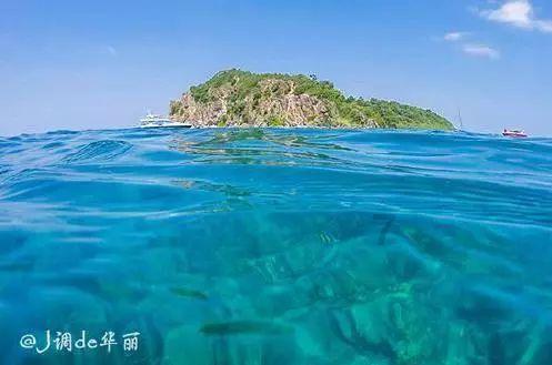 上海波特丽思卡尔顿酒店“纵横食海∙客座主厨”系列活动