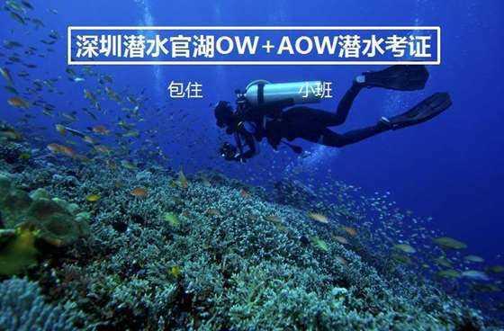嘉日单词