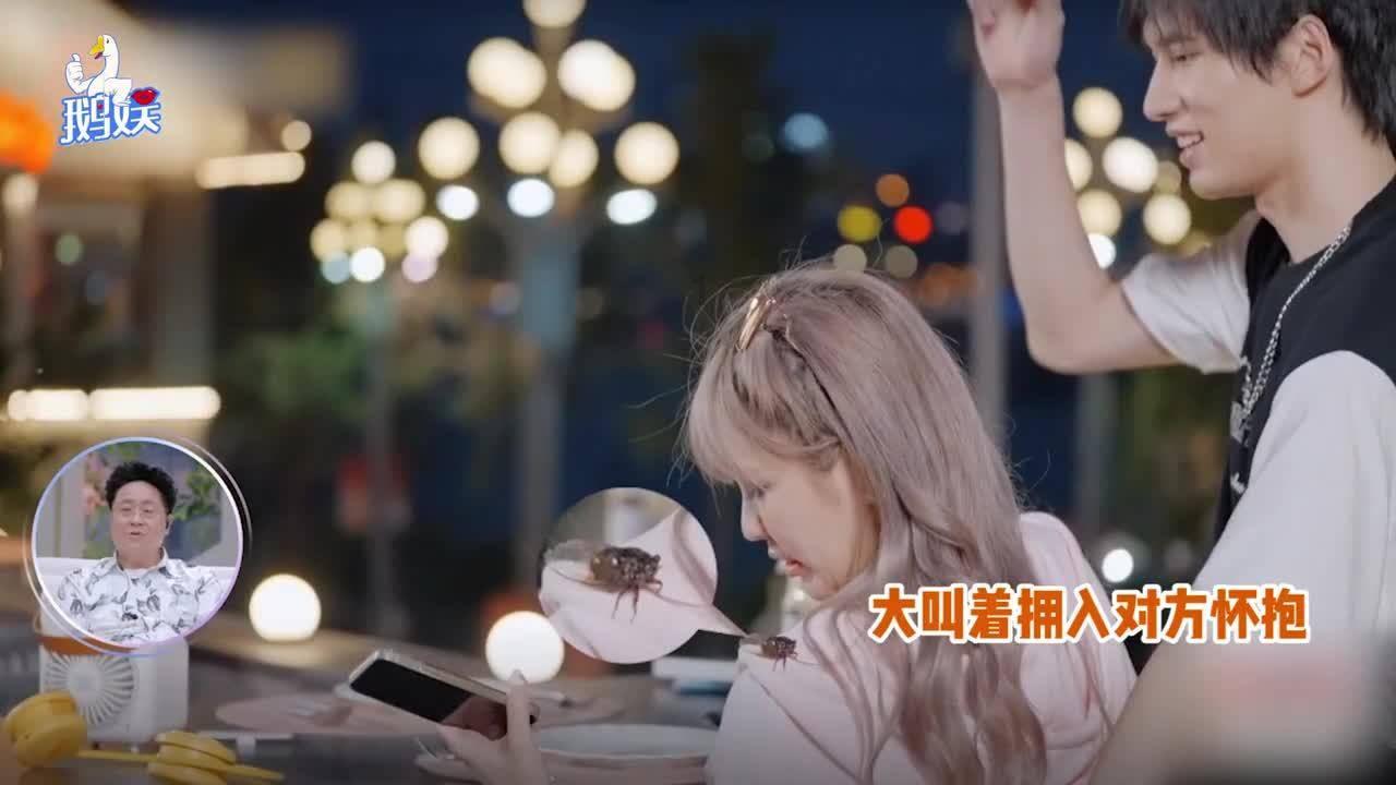 小乌龟逃亡记