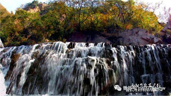 吃生蚝能补肾吗?医生坦言:补肾的是这5种食物,建议常吃