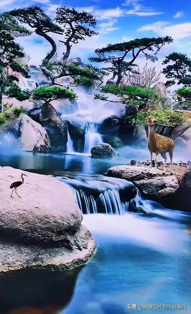 创作猫