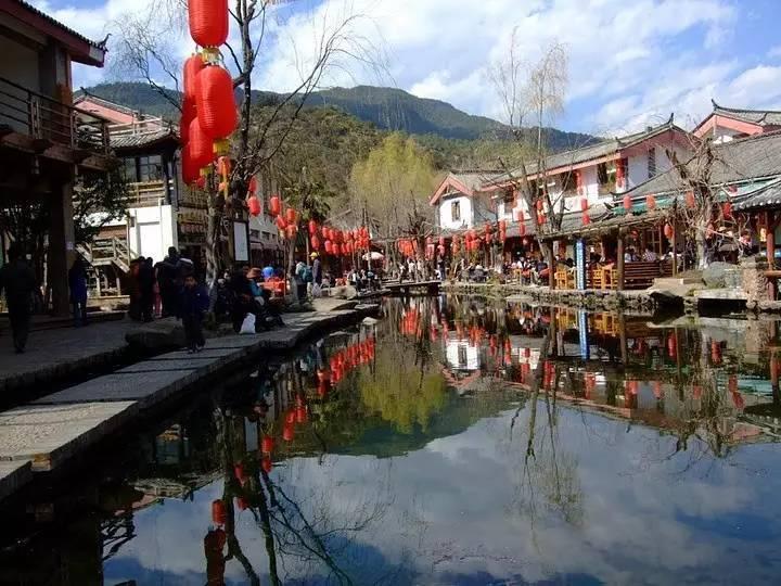 拯救精灵的土地5